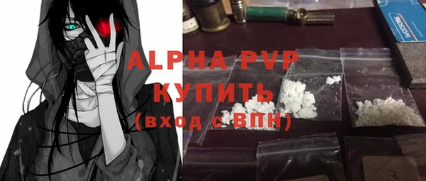 прущие грибы Няндома
