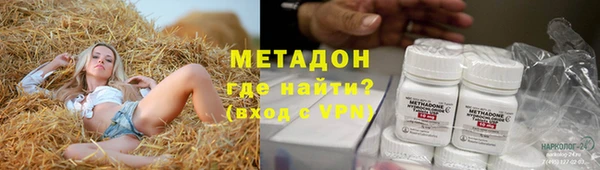 прущие грибы Няндома