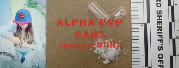 прущие грибы Няндома