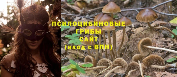 jwh Нязепетровск