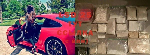прущие крисы Алзамай