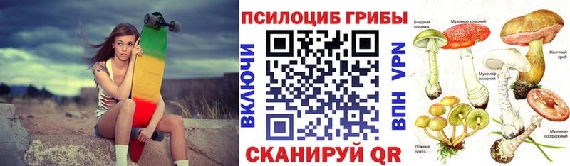 Псилоцибиновые грибы Magic Shrooms  Борзя 